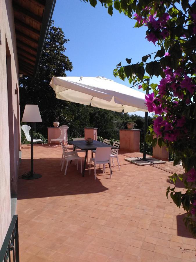 La Corte Di Bafe B&B "Slow Life" Zafferana Etnea Eksteriør billede